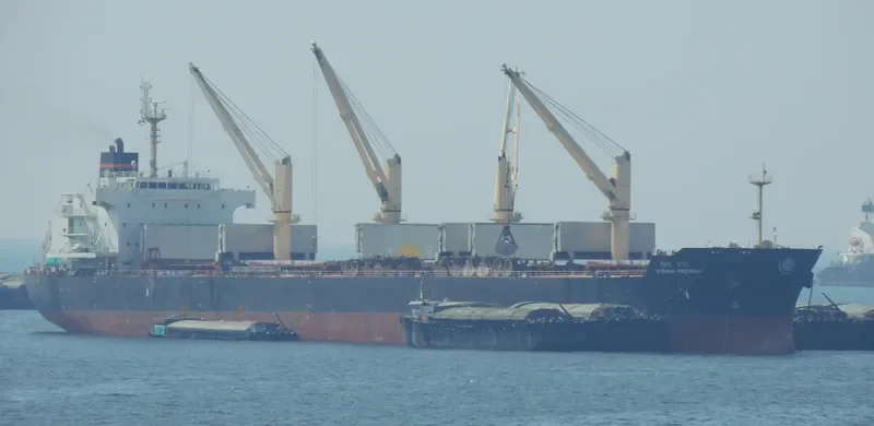 VISHVA PRERNA Bulk Carrier IMO 9464766 photo 3