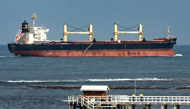 VISHVA BANDHAN Bulk Carrier IMO 9464778