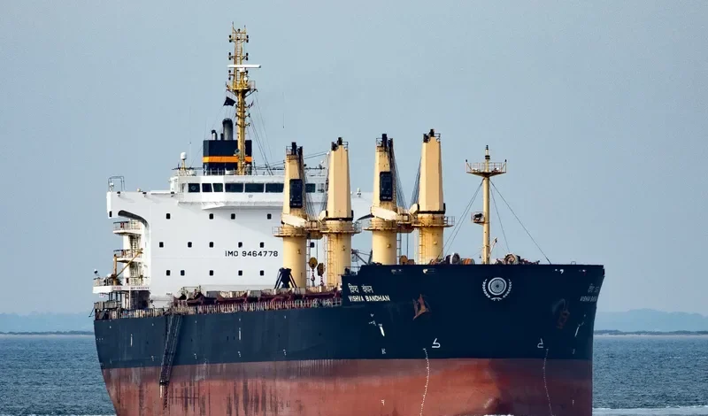 VISHVA BANDHAN Bulk Carrier IMO 9464778 photo 2