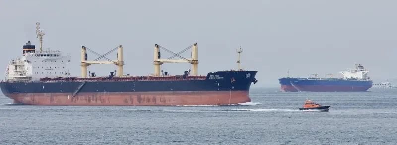 VISHVA BANDHAN Bulk Carrier IMO 9464778 photo 3