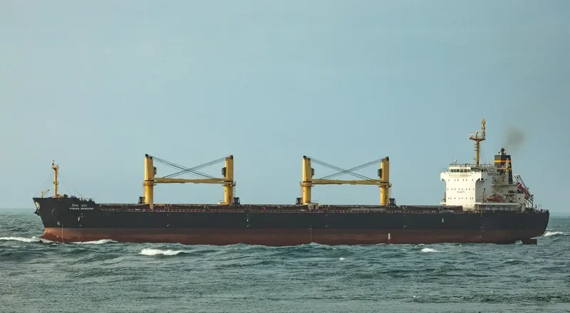 VISHVA BANDHAN Bulk Carrier IMO 9464778 photo 6