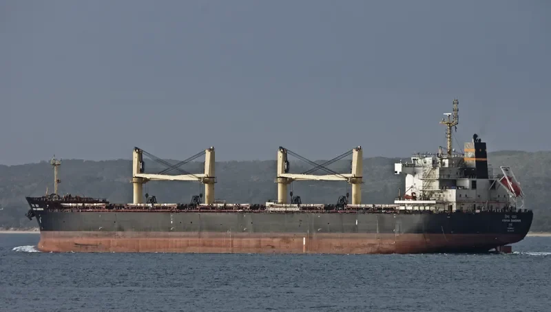 VISHVA BANDHAN Bulk Carrier IMO 9464778 photo 8