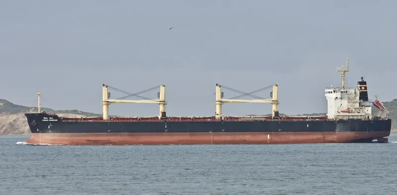 VISHVA BANDHAN Bulk Carrier IMO 9464778 photo 9