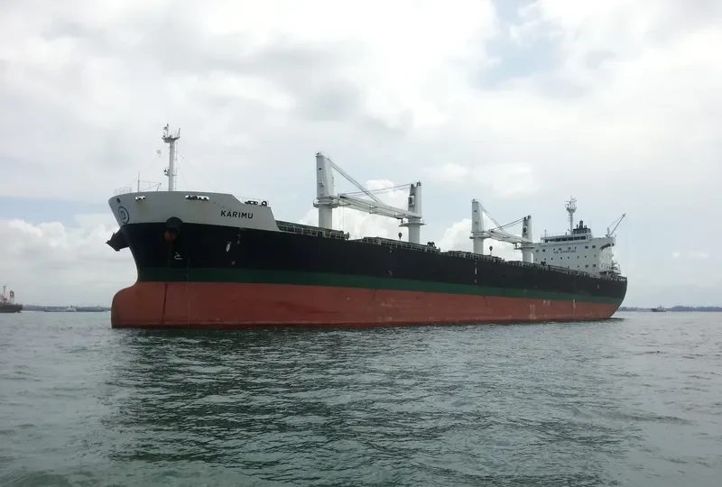 KARIMU Bulk Carrier IMO 9464792