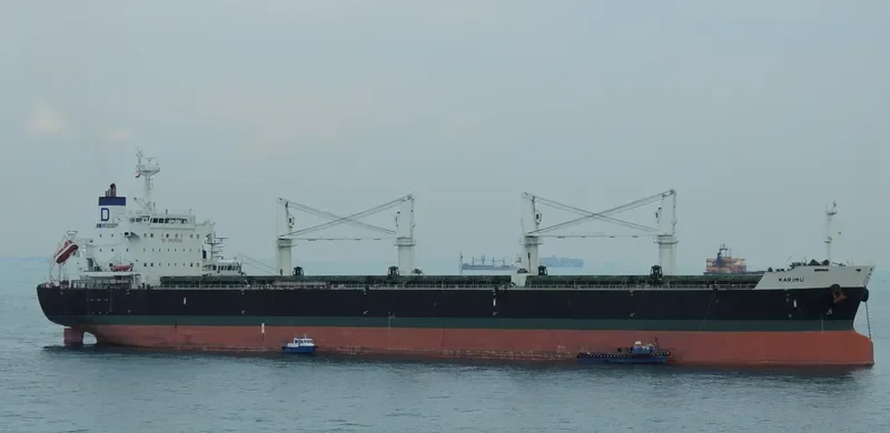 KARIMU Bulk Carrier IMO 9464792 photo 3