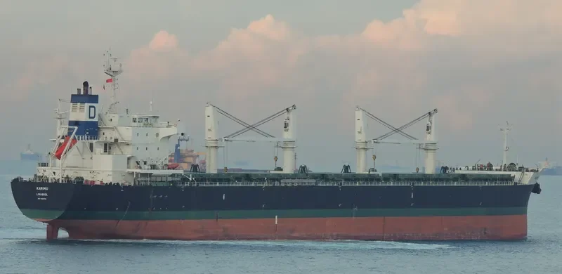 KARIMU Bulk Carrier IMO 9464792 photo 4