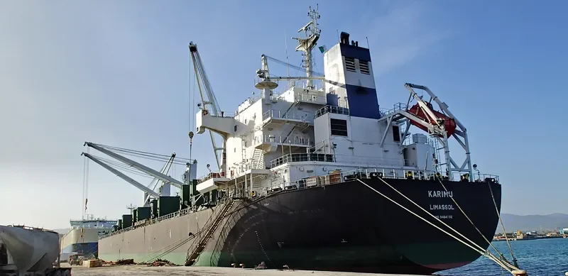 KARIMU Bulk Carrier IMO 9464792 photo 5