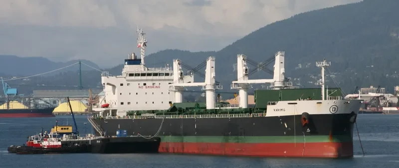 KARIMU Bulk Carrier IMO 9464792 photo 6