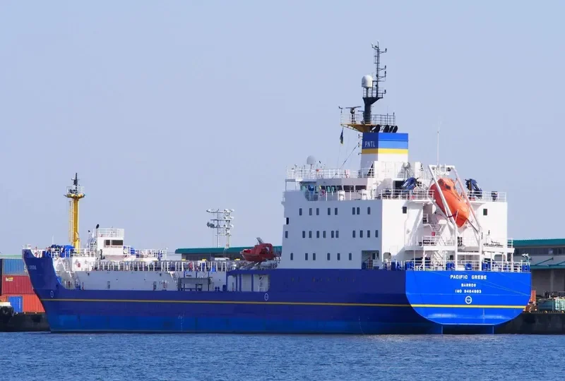 PACIFIC GREBE General Cargo IMO 9464883 photo 2