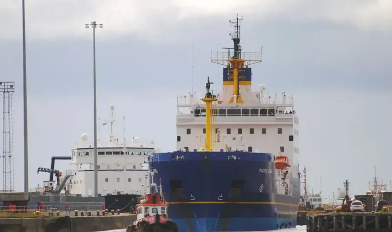 PACIFIC GREBE General Cargo IMO 9464883 photo 10