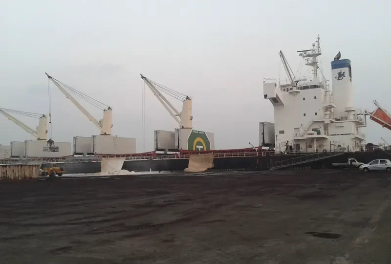 OCEAN ROYAL Bulk Carrier IMO 9465150 photo 2