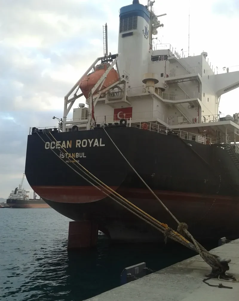 OCEAN ROYAL Bulk Carrier IMO 9465150 photo 4