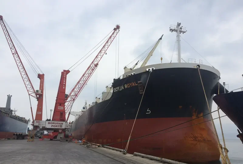 OCEAN ROYAL Bulk Carrier IMO 9465150 photo 5