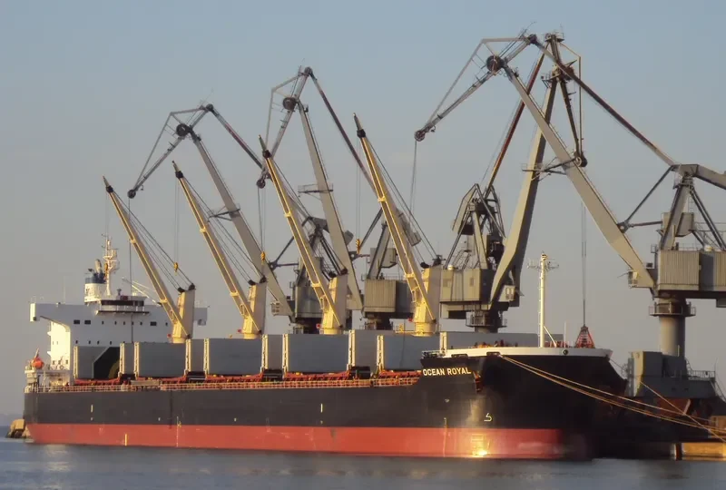 OCEAN ROYAL Bulk Carrier IMO 9465150 photo 7