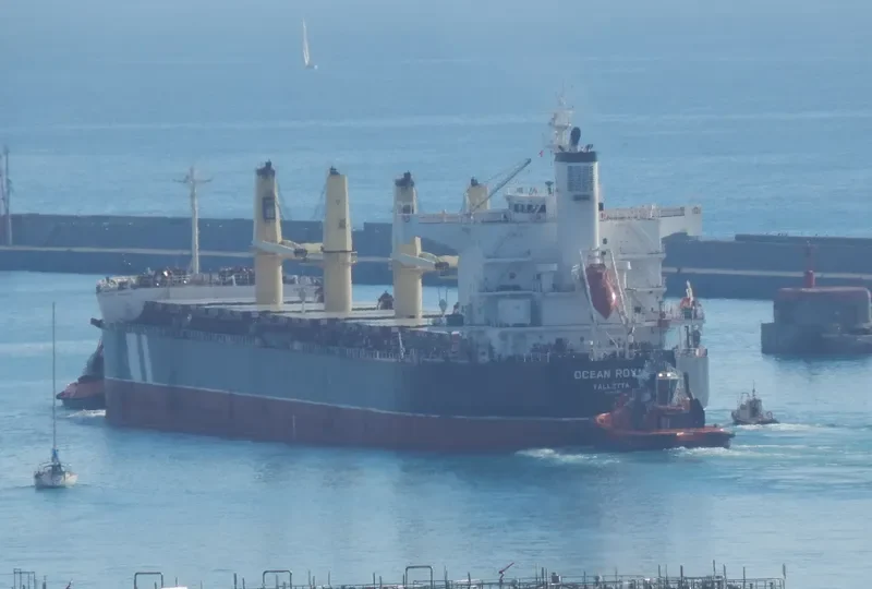 OCEAN ROYAL Bulk Carrier IMO 9465150 photo 9