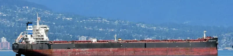 OCEAN DIAMOND Bulk Carrier IMO 9465162 photo 2