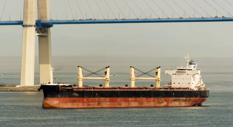OCEAN DIAMOND Bulk Carrier IMO 9465162 photo 3