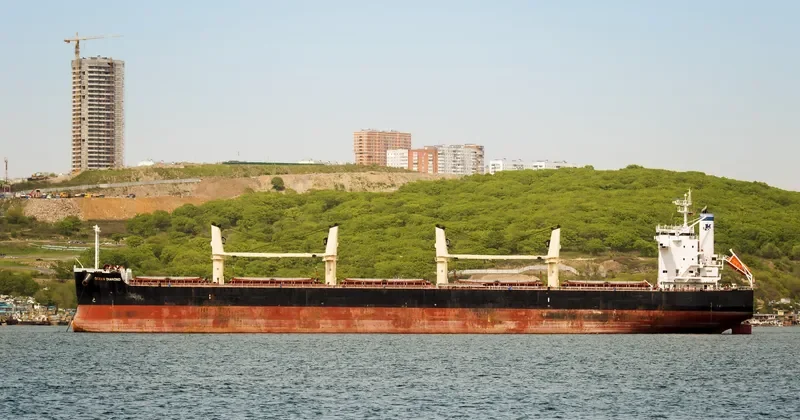 OCEAN DIAMOND Bulk Carrier IMO 9465162 photo 4