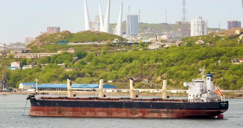 OCEAN DIAMOND Bulk Carrier IMO 9465162 photo 5