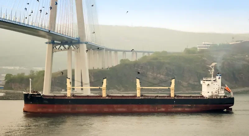OCEAN DIAMOND Bulk Carrier IMO 9465162 photo 6