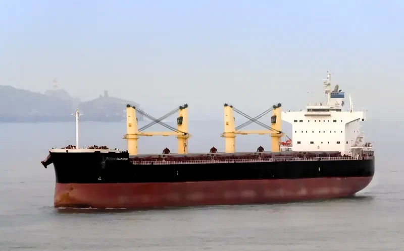OCEAN DIAMOND Bulk Carrier IMO 9465162 photo 7