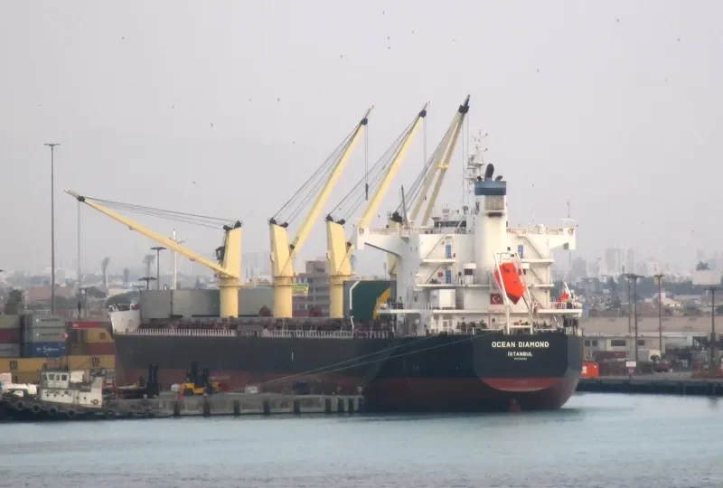 OCEAN DIAMOND Bulk Carrier IMO 9465162 photo 8