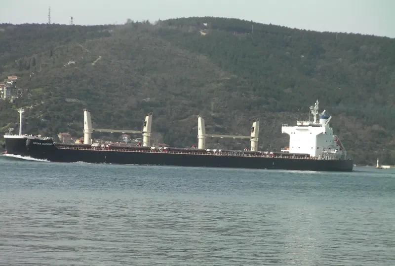OCEAN DIAMOND Bulk Carrier IMO 9465162 photo 9