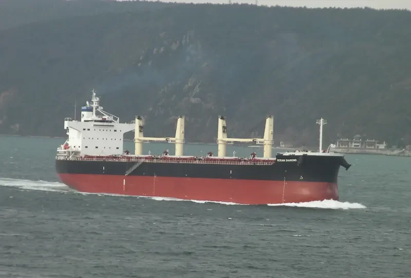 OCEAN DIAMOND Bulk Carrier IMO 9465162 photo 10
