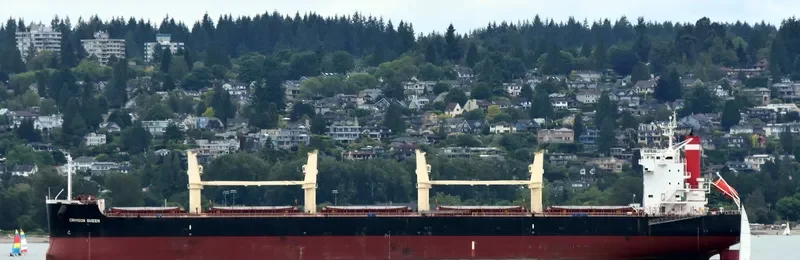 CRIMSON QUEEN Bulk Carrier IMO 9465174 photo 4