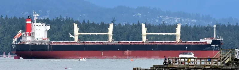 CRIMSON QUEEN Bulk Carrier IMO 9465174 photo 6