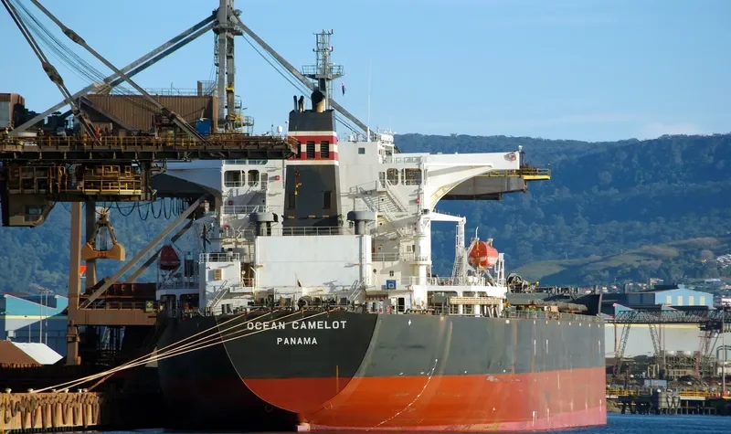CAPE PUFFIN Bulk Carrier IMO 9465186