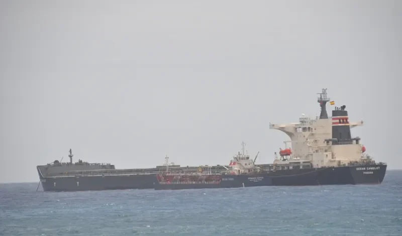 CAPE PUFFIN Bulk Carrier IMO 9465186 photo 2