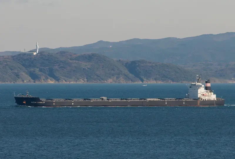 CAPE PUFFIN Bulk Carrier IMO 9465186 photo 3