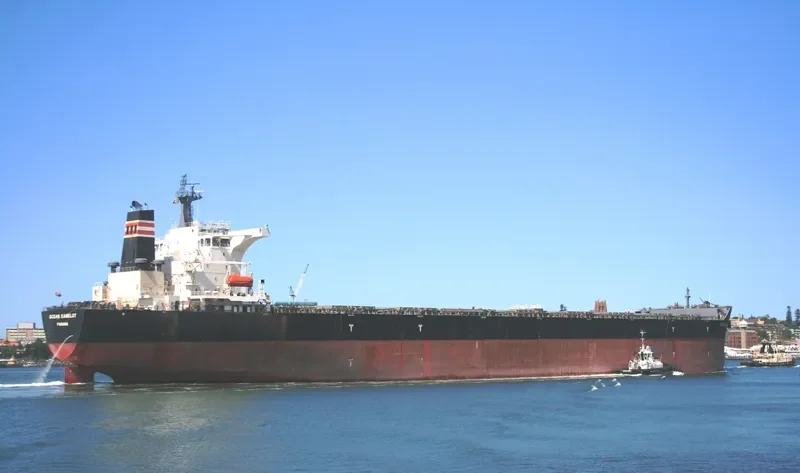 CAPE PUFFIN Bulk Carrier IMO 9465186 photo 5