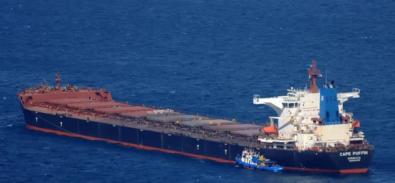 CAPE PUFFIN Bulk Carrier IMO 9465186 photo 7