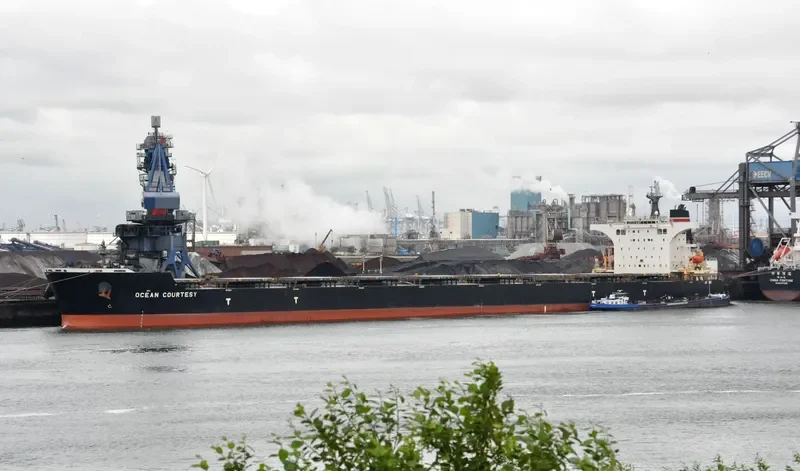 OCEAN COURTESY Bulk Carrier IMO 9465198 photo 3