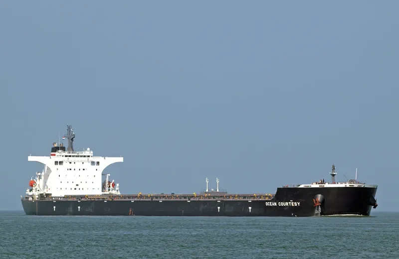 OCEAN COURTESY Bulk Carrier IMO 9465198 photo 4