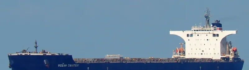 OCEAN COURTESY Bulk Carrier IMO 9465198 photo 10
