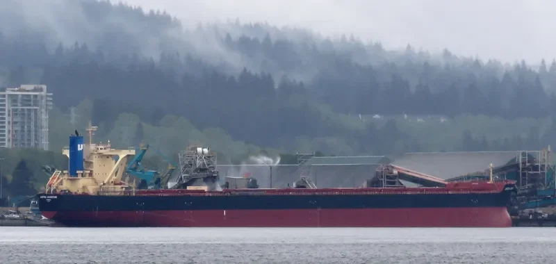 UNITED ADVENTURE Bulk Carrier IMO 9465215 photo 4