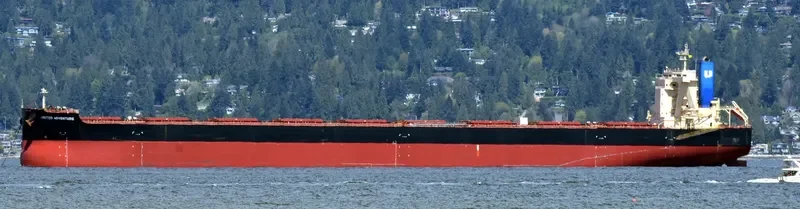 UNITED ADVENTURE Bulk Carrier IMO 9465215 photo 8