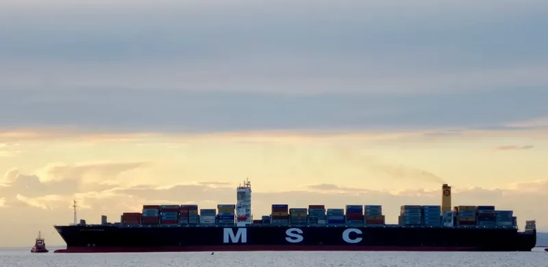 MSC CRISTINA Container Ship IMO 9465241 photo 3