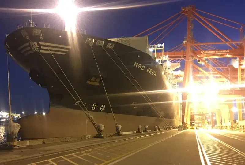 MSC VEGA Container Ship IMO 9465265 photo 2
