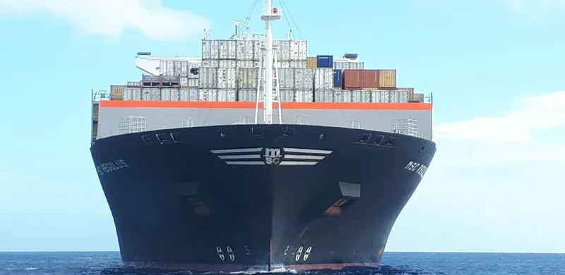 MSC REGULUS Container Ship IMO 9465291 photo 3