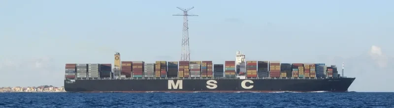 MSC RENEE Container Ship IMO 9465306