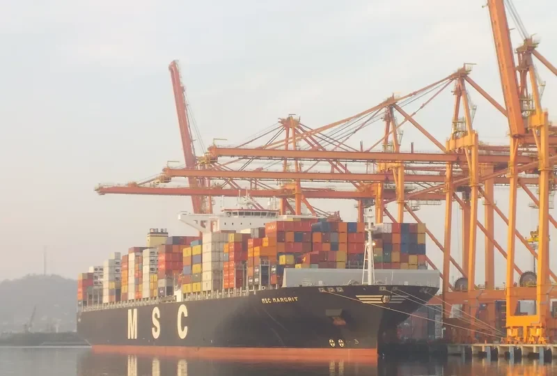 MSC MARGRIT Container Ship IMO 9465318 photo 7