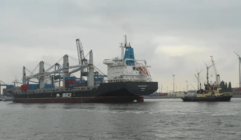 BLUE MASTER II General Cargo IMO 9465411 photo 7