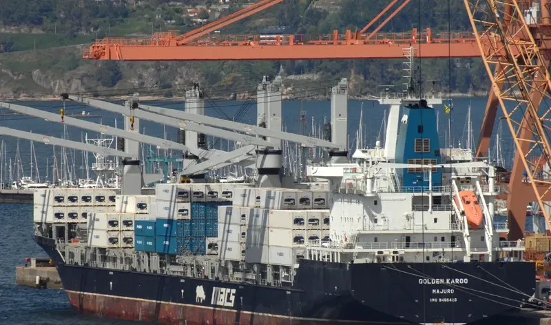 GOLDEN KAROO General Cargo IMO 9465423 photo 9