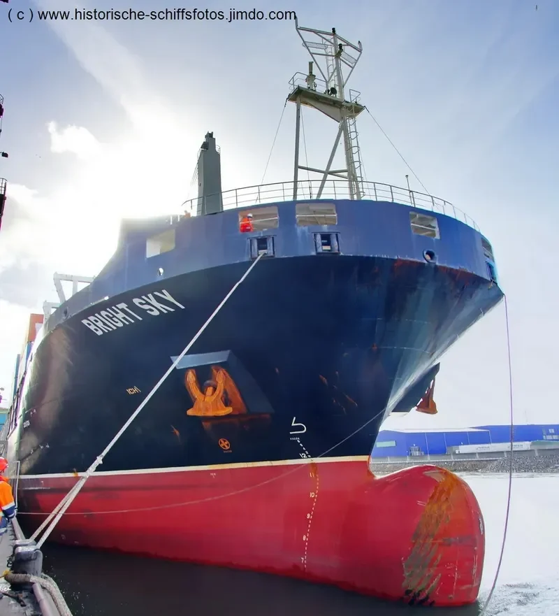 BRIGHT SKY General Cargo IMO 9465435 photo 4