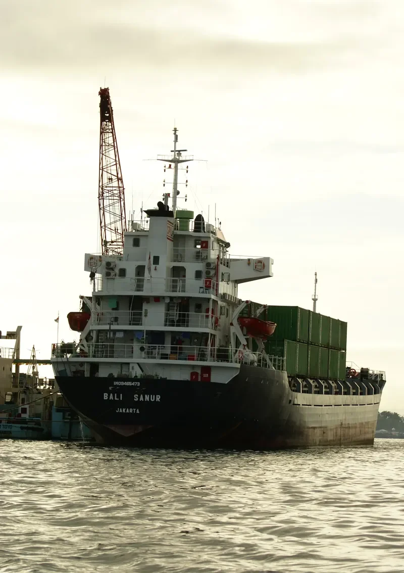 BALI SANUR General Cargo IMO 9465473