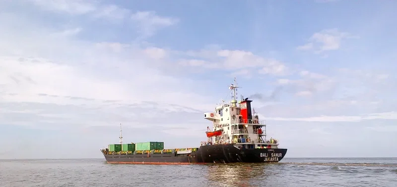 BALI SANUR General Cargo IMO 9465473 photo 3